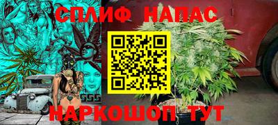 дурь Пугачёв