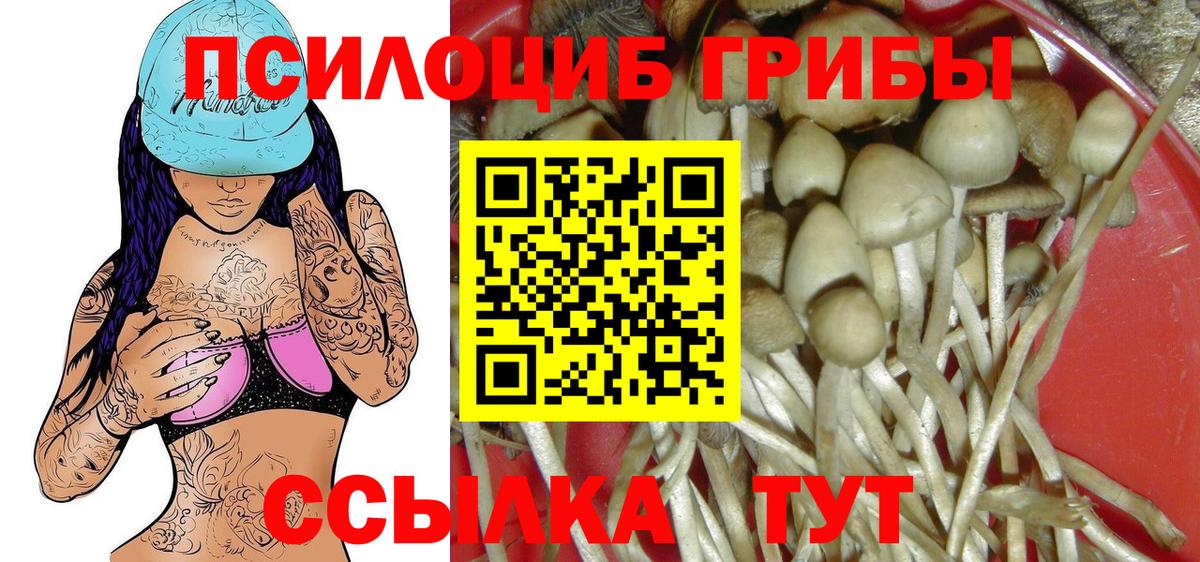 Галлюциногенные грибы мухоморы Ревда