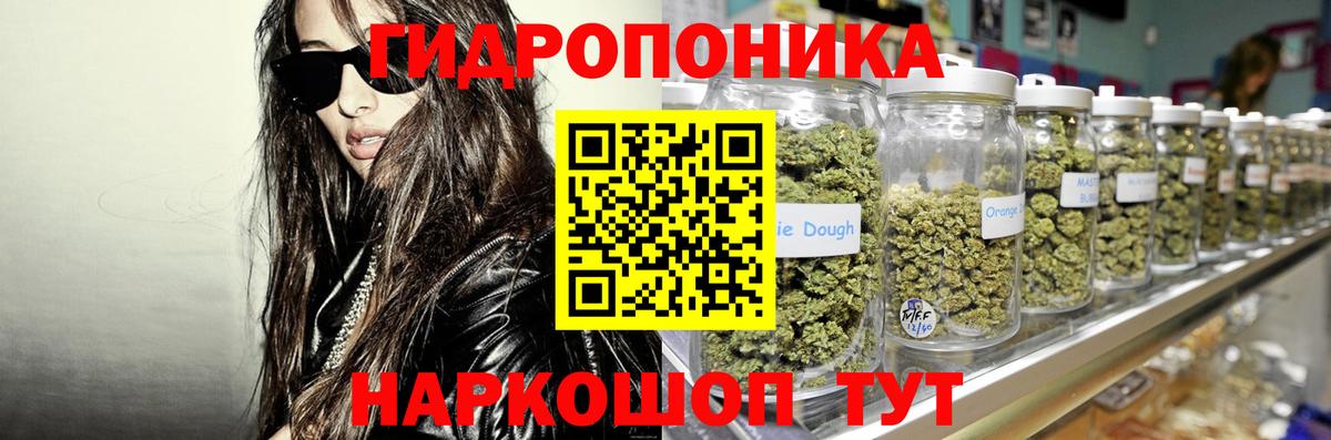 Каннабис OG Kush  Вход с VPN  Канабис сатива  Ревда  Канабис марихуана  Канабис семена 